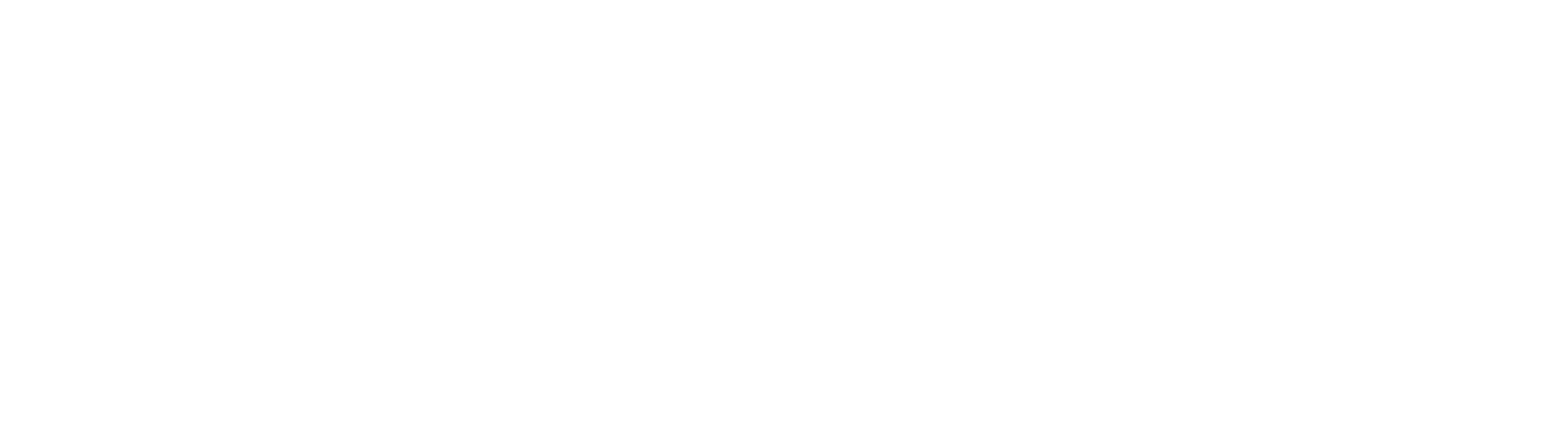 NextZenCode